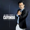 About Algo Está Cayendo Song