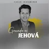About Grande es Jehová Song