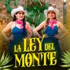 About La Ley Del Monte Song