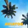 About Aviator Song