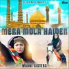 About Mera Mola Haider Haider Song