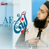 Ae Nabi Pyare Nabi