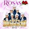 Rosas