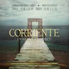 About Corriente / Un Día A La Vez (Medley) Song