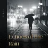 Echoes of the Rain