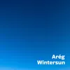 About Wintersun Song