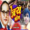 About Jay Bhim Song