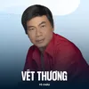 About Vết Thương Song