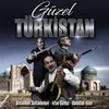 About Güzel Türkistan Song
