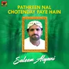 Pathreen Nal Chotenday Paye Hain