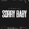 About Sorry Baby Song