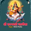 About Shri Saraswati Chalisa Song