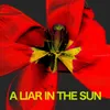 About A Liar In The Sun Song