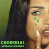 About GROSERÍAS Song