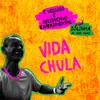 About Vida Chula Song