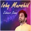 About Ishq Murshid Song