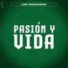 About Pasión Y Vida Song