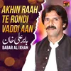 About Akhin Raah Te Rondi Vaddi Aan Song