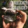 NeelKanth Mahadev