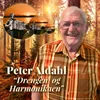 Drengen med harmonikaen