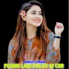 About Pichhe Lagi Police Ki Car Song