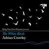 About The White Birds Song