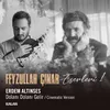 Dolanı Dolanı Gelir (Feyzullah Çınar Eserleri 1)