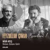 About Dolanı Dolanı Gelir (Feyzullah Çınar Eserleri 1) Song