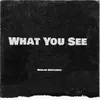 About What You See Song