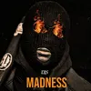 About Madness Song