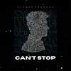 About Can't Stop Song