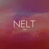 About Nelt Song