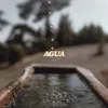 About Agua Song