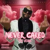 About Never Cared Song