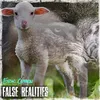 About False Realities Song