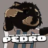 About Pedro Song