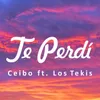 About Te Perdí Song