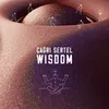 About Wisdom Song