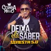 About Deixa Ela Saber - Seresta 5.0 Song