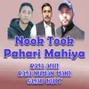 Nook Took Pahari Mahiya