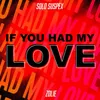 About If You Had My Love (feat. Zolie) Song