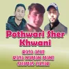 About Pothwari Sher Khwani Song