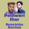 About Pothwari Sher Song