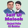 Saif Ul Malook