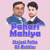 Pothwari Sher