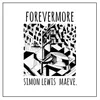 About Forevermore Song