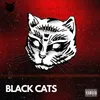 About Black Cats Song