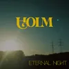 About Eternal Night Song