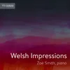 4 Welsh Impressions: No 1, Llanbrynmair