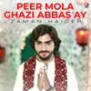 About Peer Mola Ghazi Abbas Ay Song